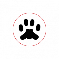 Печать стандартная (символы и надписи), 13